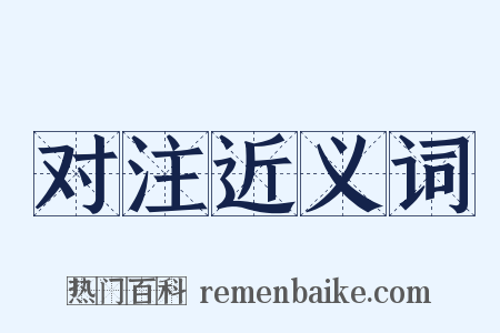 对注近义词是什么意思的图片